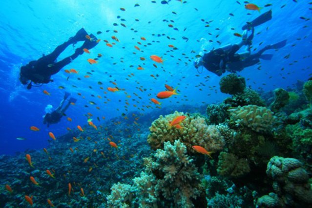 Diving in South Africa, Sodwana Bay - By Tim Rossouw