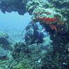 Picture taken during the dive
