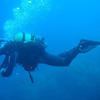 Picture taken during the dive