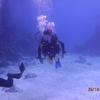 Picture taken during the dive