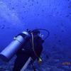 Picture taken during the dive