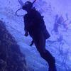 Picture taken during the dive