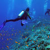 Picture taken during the dive