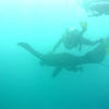 Picture taken during the dive