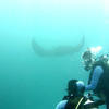 Picture taken during the dive