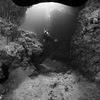 Picture taken during the dive