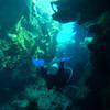 Picture taken during the dive