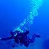 Picture taken during the dive