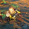 Picture taken during the dive