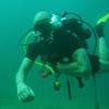 Picture taken during the dive