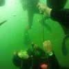 Picture taken during the dive