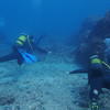 Picture taken during the dive