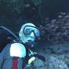 Picture taken during the dive