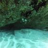 Picture taken during the dive