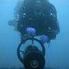 Picture taken during the dive