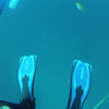 Picture taken during the dive