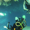 Picture taken during the dive