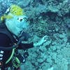 Picture taken during the dive