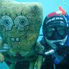 Picture taken during the dive