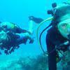 Picture taken during the dive