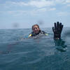 Picture taken during the dive
