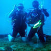 Picture taken during the dive