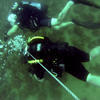 Picture taken during the dive