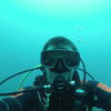 Picture taken during the dive