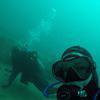Picture taken during the dive