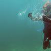 Picture taken during the dive