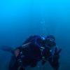 Picture taken during the dive