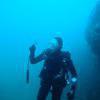 Picture taken during the dive