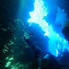 Picture taken during the dive