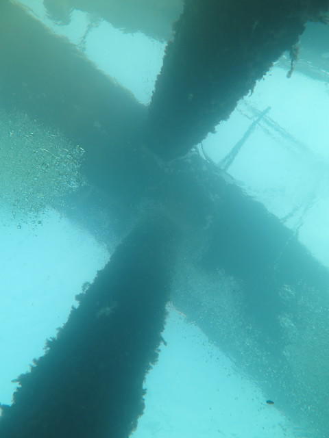 Dykkedjan-Malmö Dyktjänst - Dive Center in Suecia