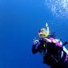 Picture taken during the dive