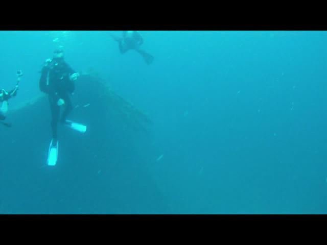 Diving Pelion - Dive Center in Greece