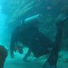 Picture taken during the dive