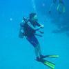 Picture taken during the dive