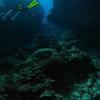 Picture taken during the dive