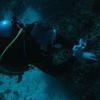 Picture taken during the dive