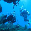 Picture taken during the dive