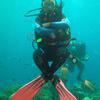 Picture taken during the dive
