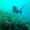 Picture taken during the dive
