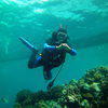 Picture taken during the dive