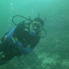 Picture taken during the dive