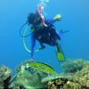Picture taken during the dive