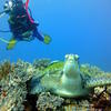 Picture taken during the dive