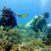 Picture taken during the dive