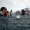 Picture taken during the dive