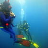 Picture taken during the dive